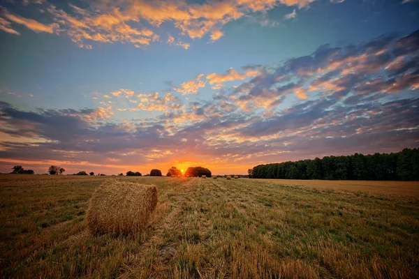 Schöner Sommersonnenaufgang Über Landwirtschaftlichem Feld — Stockfoto