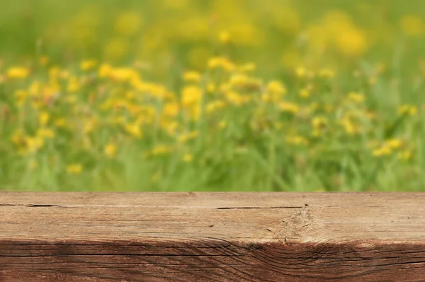 Frühlingshintergrund Bereit Für Ihre Montagen — Stockfoto