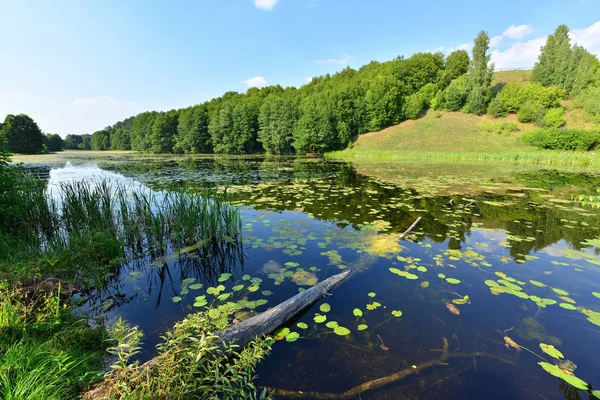 Beautiful View Lake Shore Masuria District Poland — Stock Photo, Image