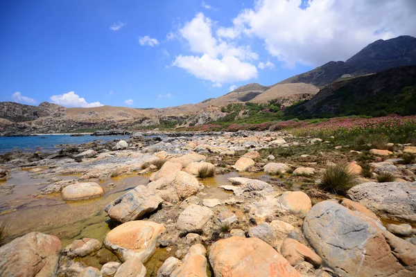 Beautiful Mediterranean Landscape Rocky Seashore — Stock Photo, Image