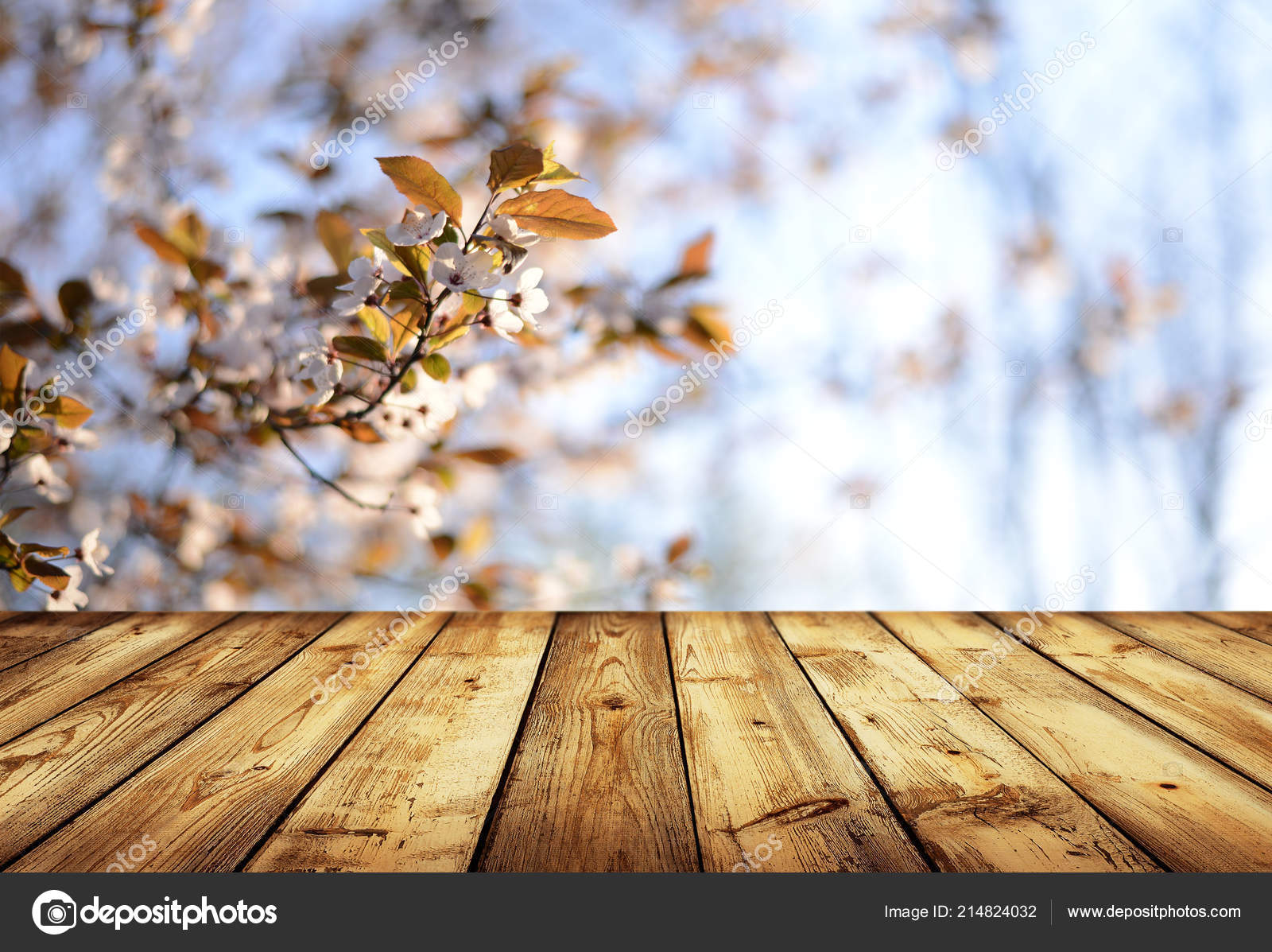 Las Mejores Fondos De Cielo Para