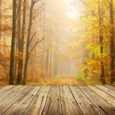 Görüntü montages boş ahşap tablo