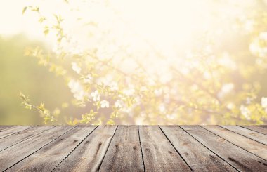 Görüntü montages boş ahşap tablo