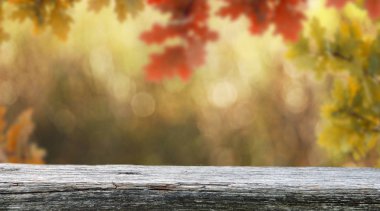 Görüntü montages boş ahşap tablo