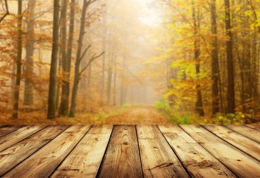 Görüntü montages boş ahşap tablo