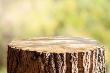 Görüntü montages için boş ağaç gövdesi