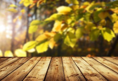 Görüntü montages boş ahşap tablo