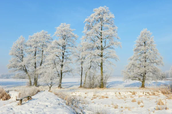 Piękny Zimowy Krajobraz Pod Jasne Błękitne Niebo — Zdjęcie stockowe