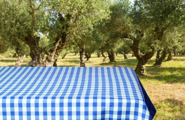 Mesa Vazia Com Toalha Mesa Quadriculada Para Montagens Exibição — Fotografia de Stock