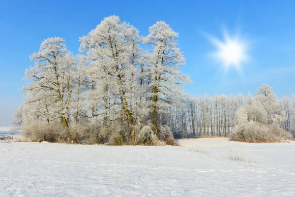 Wunderschöne Winterlandschaft Unter Klarem Blauen Himmel — Stockfoto