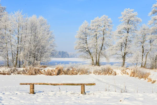 Wunderschöne Winterlandschaft Unter Klarem Blauen Himmel — Stockfoto