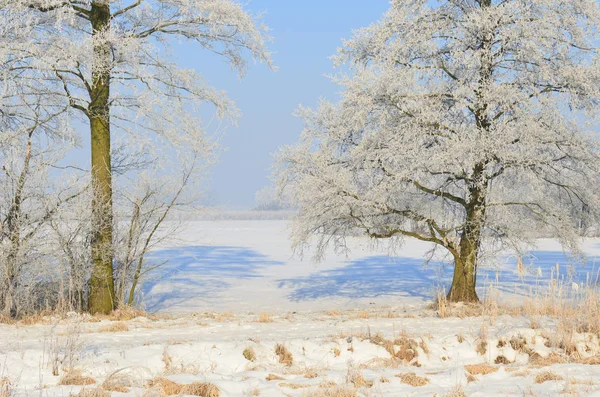 Wunderschöne Winterlandschaft Unter Klarem Blauen Himmel — Stockfoto