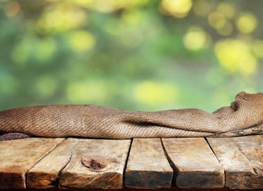 Görüntü montages boş ahşap tablo