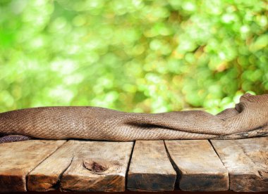 Görüntü montages boş ahşap tablo