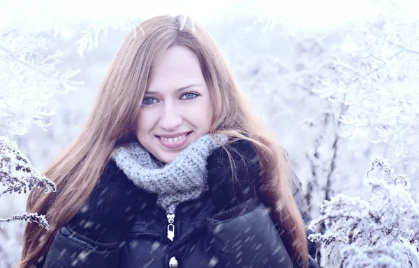 Winter Portrait Beautiful Girl — Stock Photo, Image