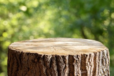 Boş ağaç gövdesi için ekran montags