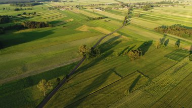 Güzel hava peyzaj alanları ve orman 