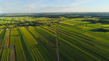 Güzel hava peyzaj alanları ve orman 