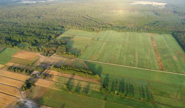 Güzel hava peyzaj alanları ve orman 
