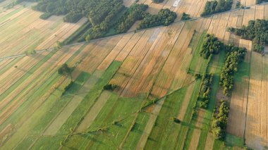 Güzel hava peyzaj alanları ve orman 