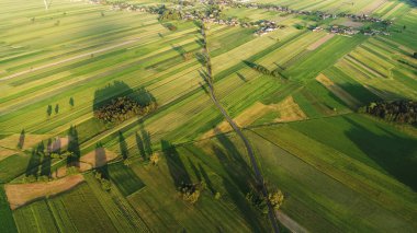Güzel hava peyzaj alanları ve orman 