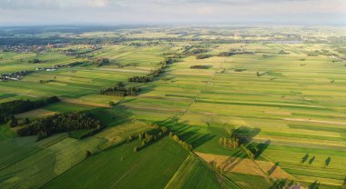 Güzel hava peyzaj alanları ve orman 