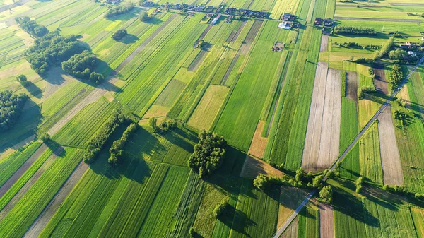 Luchtfoto Van Mooie Zomerse Landschap — Stockfoto