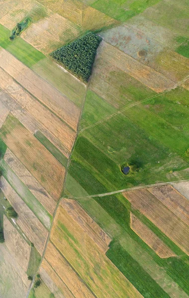 Piękny Krajobraz Lotnicze Pól Lasów — Zdjęcie stockowe