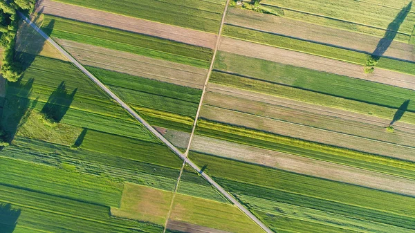 Αεροφωτογραφία Του Όμορφο Καλοκαιρινό Τοπίο — Φωτογραφία Αρχείου