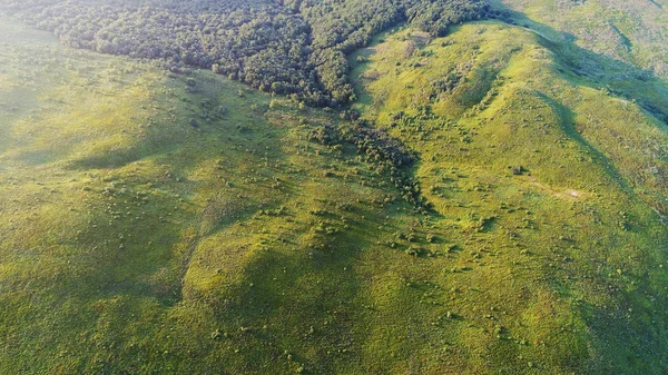 Paisagem Aérea Bonita Com Campos Floresta — Fotografia de Stock