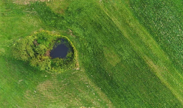 Vista Aérea Del Hermoso Paisaje Verano — Foto de Stock