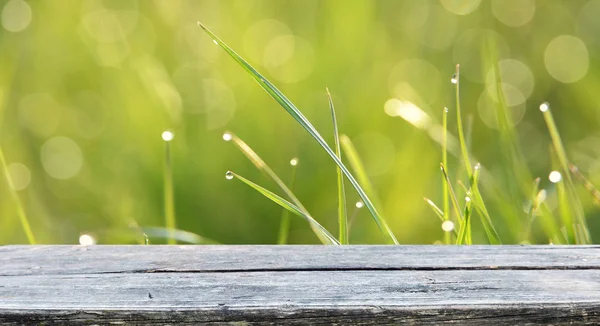 Lege Houten Tafel Met Onscherpe Natuurlijke Achtergrond — Stockfoto