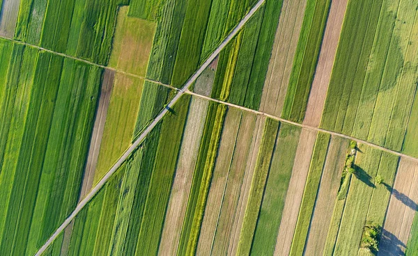 Αεροφωτογραφία Του Όμορφο Καλοκαιρινό Τοπίο — Φωτογραφία Αρχείου