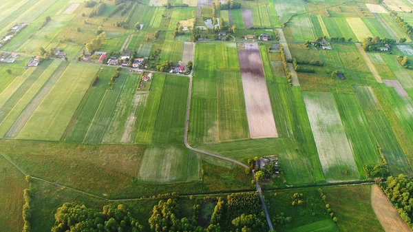 Aerial View Beautiful Summer Landscape — Stock Photo, Image