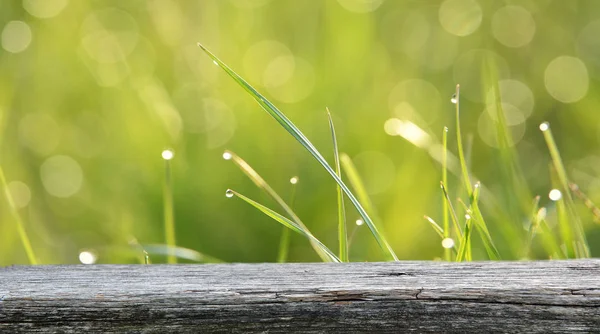 Lege Houten Tafel Met Onscherpe Natuurlijke Achtergrond — Stockfoto