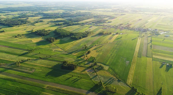 Beautiful Aerial Landscape Fields Forest — Stock Photo, Image