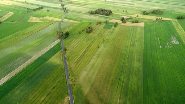 Güzel Yaz Manzara Havadan Görünümü — Stok fotoğraf