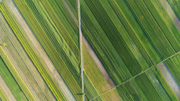 Luftaufnahme Der Schönen Sommerlandschaft — Stockfoto