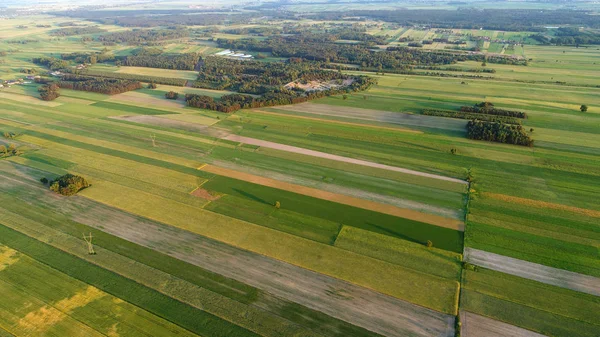 Aerial View Beautiful Summer Landscape — Stock Photo, Image