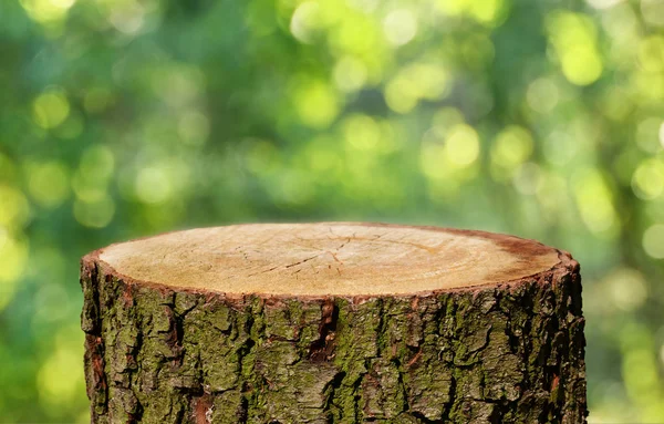 Leerer Baumstamm Mit Natürlichem Hintergrund — Stockfoto