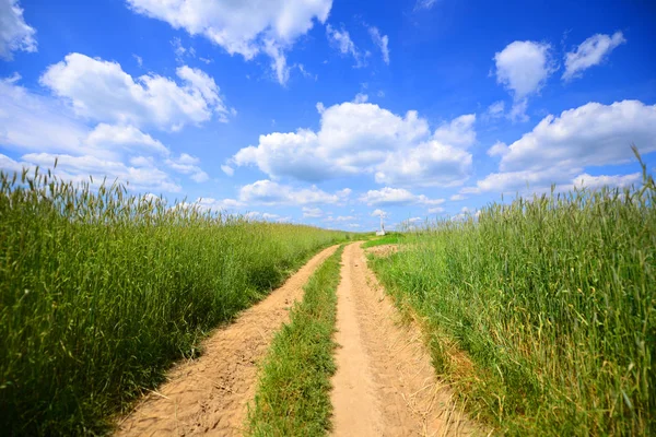 Sommerlandskap Med Vei – stockfoto