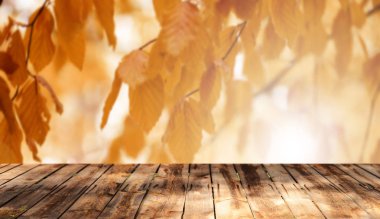 Doğal arka plan ile boş ahşap masa