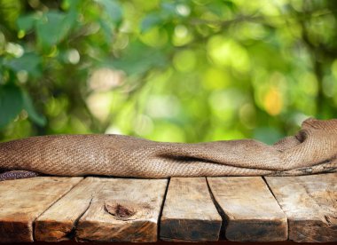 Doğal arka plan bulanık ile boş ahşap masa