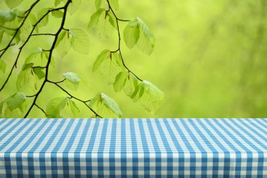 Boş tablo ile renk kareli masa örtüsü ve doğal arka plan bulanık