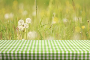 Boş tablo ile renkli damalı masa örtüsü  