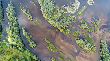 Nehri Deltası Polonya havadan görünümü