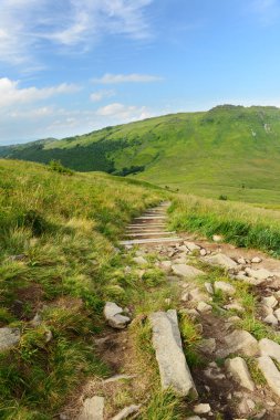 güzel yeşil Bieszczady Dağlar Polonya