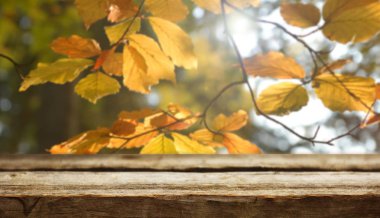 Doğal arka plan ile boş ahşap masa