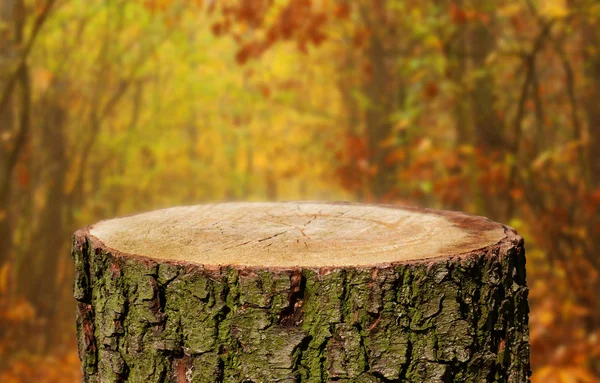 Tom Trädstam Med Naturlig Bakgrund — Stockfoto