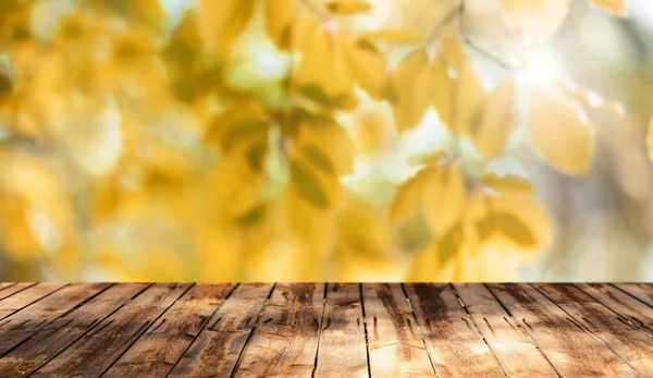 Lege Houten Tafel Met Natuurlijke Achtergrond — Stockfoto